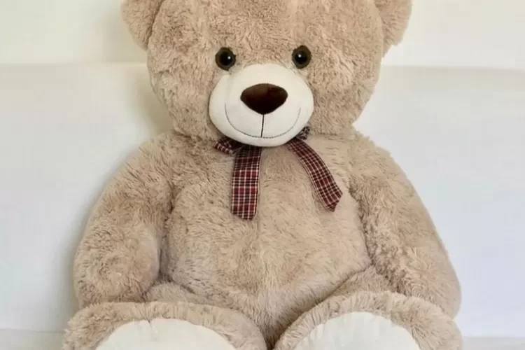 Cara Memilih Boneka Hadiah untuk Pacar yang Berkesan dan Romantis