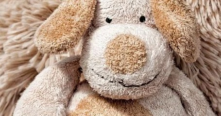 referensi-dan-sumber-terpercaya - Cara Merawat Boneka Plush agar Awet dan Lembut dengan Mudah