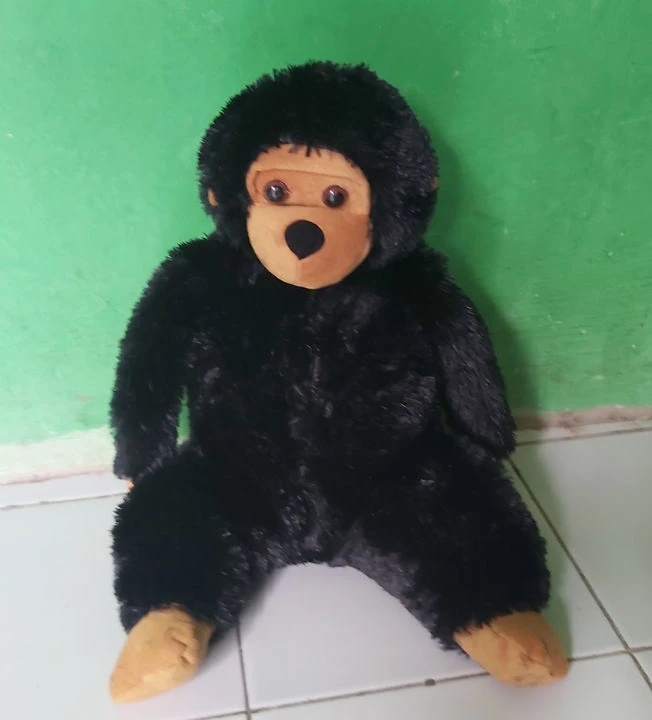 Boneka Flora Serai Hitam: Sejarah & Makna Budaya Indonesia